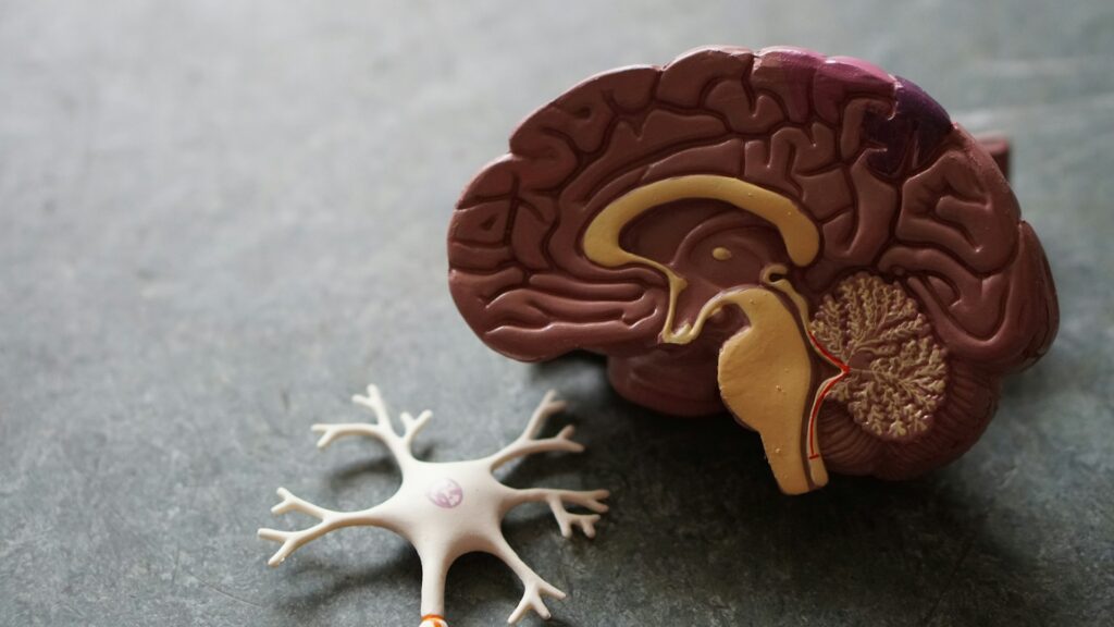 Neuropathy